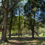 Centro Recreativo Arroyo Seco