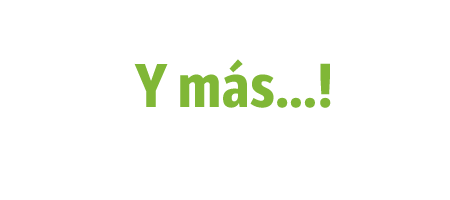 y-mas